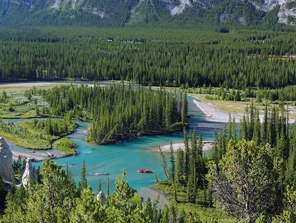 Guided Float Trip On The Bow River