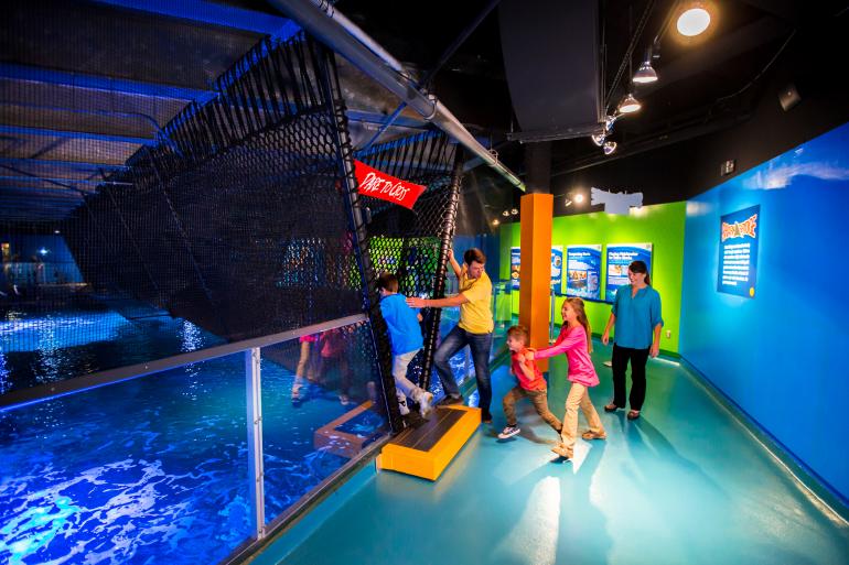 Families may explore and discover marine life in an ideal setting.