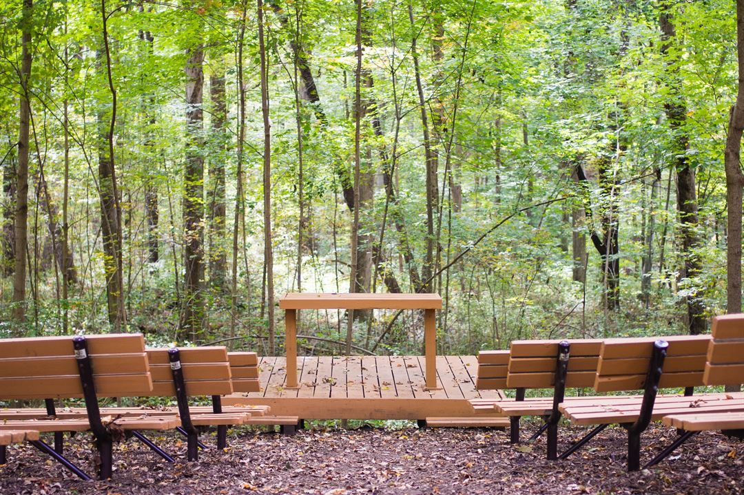 Hayes Arboretum is a perfect choice if you love nature. - Eventective