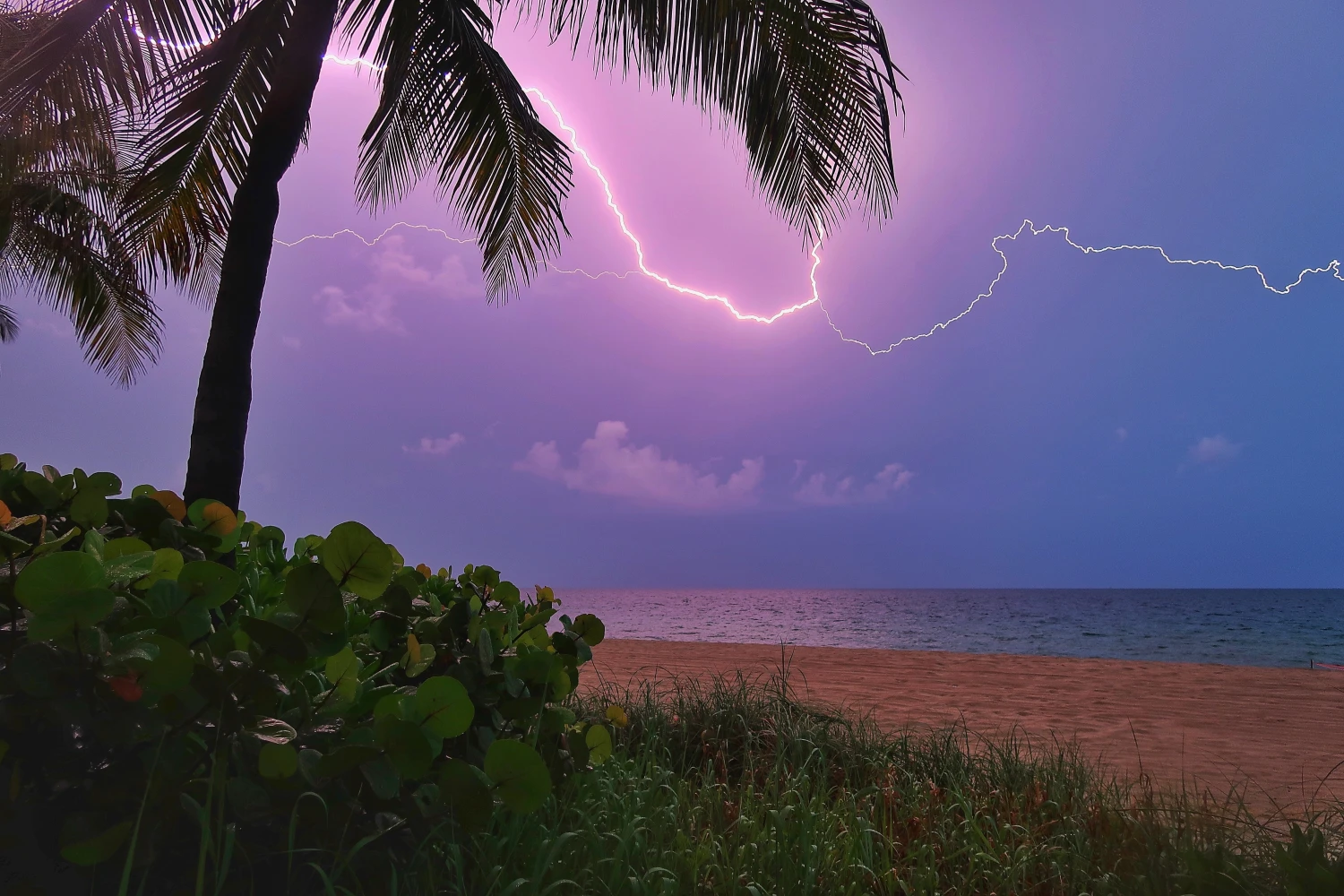 Think about the storms when packing for Florida. - CBS Miami - CBS Local - weather in key west in january