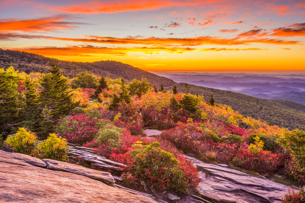 When the trees turn color at this time of year, you'll be treated to absolutely breathtaking views.