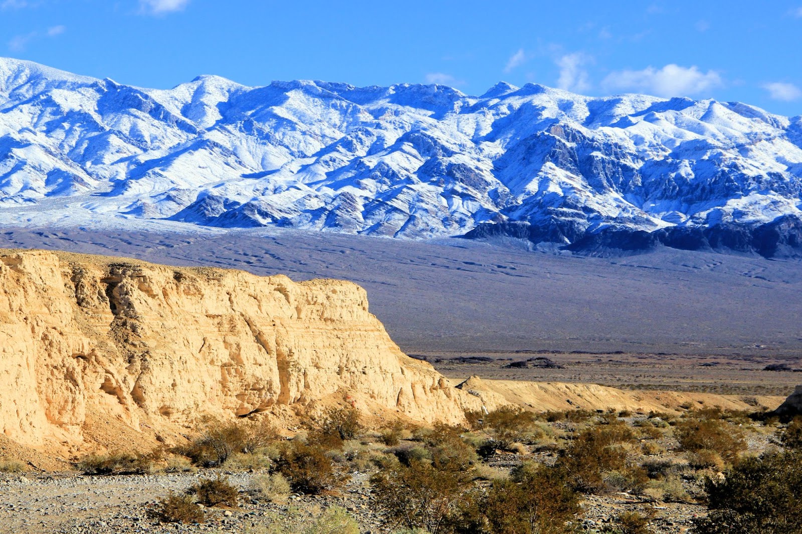 Tule Spring Fossil Bed National Monument Nevada