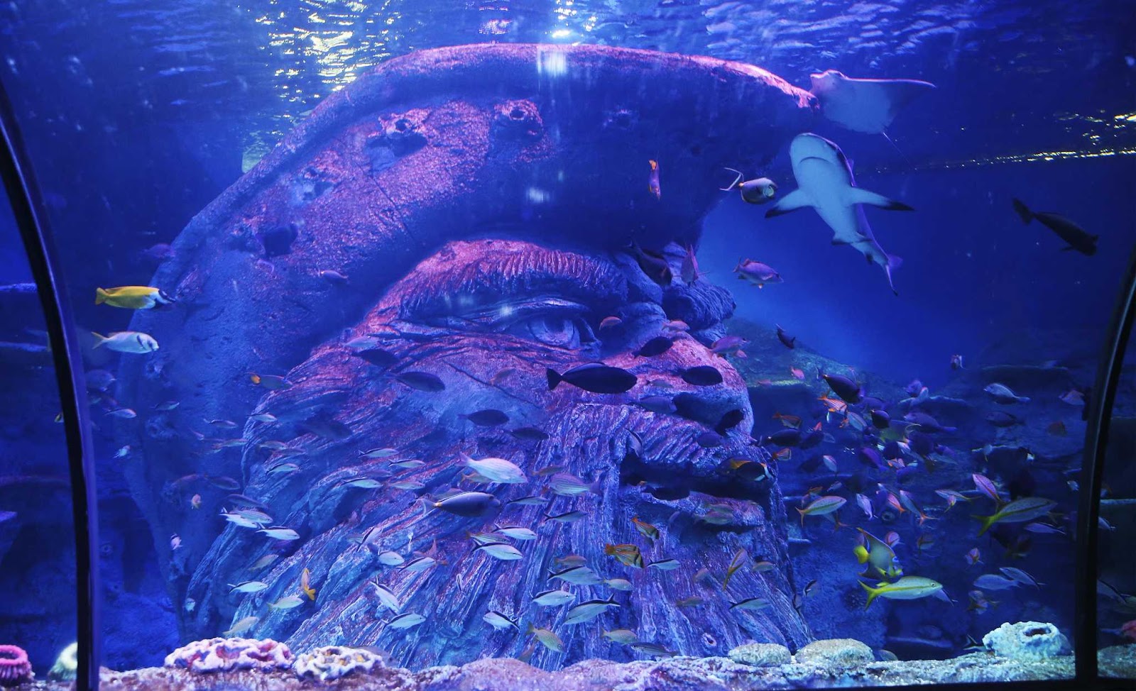 San Antonio Aquarium 