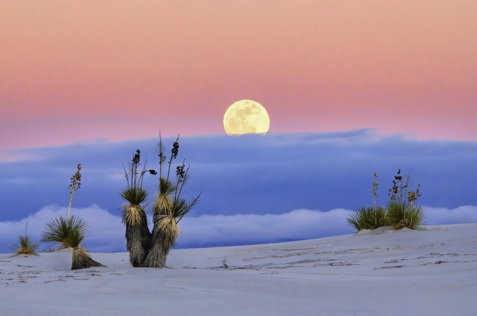The full moon in White Sands National Park is beautiful. - Indianz