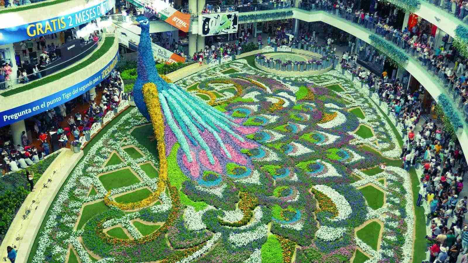 Once per year, each metropolitan area hosts a carnival in which local customs are presented entertainingly and artistically. If flowers magnetize you, we strongly recommend visiting Medellin's Flower Festival in August.