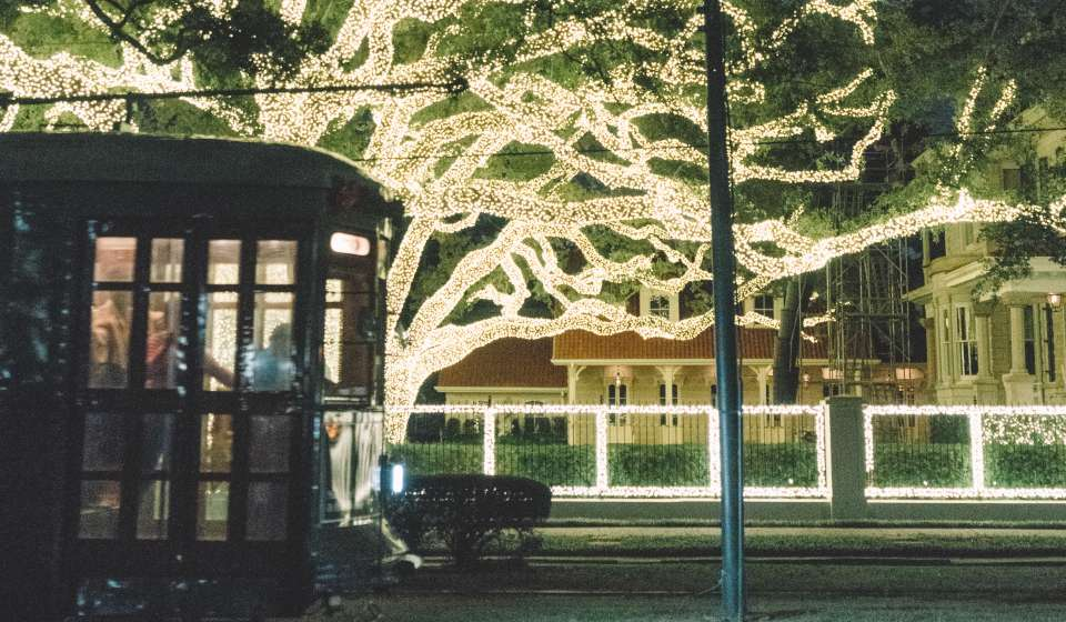 Christmas in New Orleans provides breath-taking light displays. - Visit New Orleans